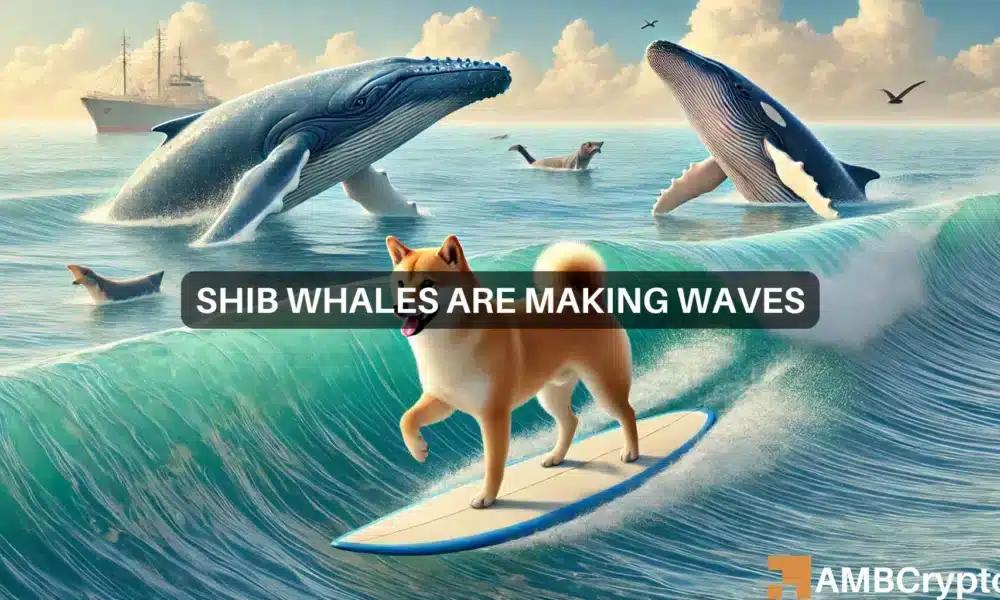 Whale Moves  Million in Shiba Inu: Is a Market Adjustment for Meme Coins Imminent?