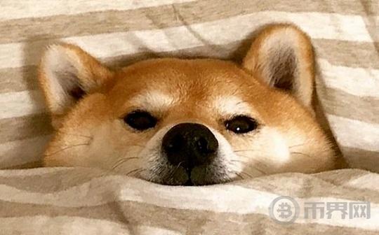 狗狗币:1月份DOGE能否再次创造历史性的牛市?