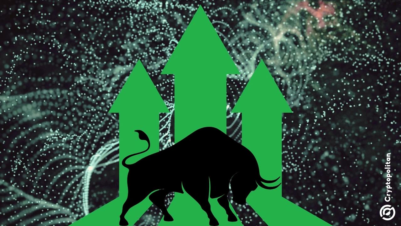 CryptoDéjàVu:牛市舞蹈的终曲还是序曲?